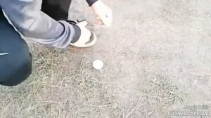 Дымовуха из тенисного мяча!