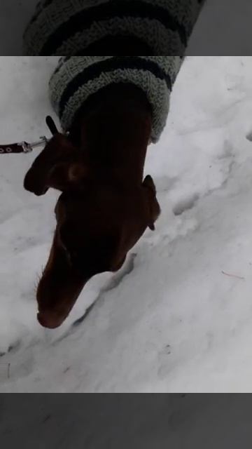 Дженни - Кашель смотреть онлайн