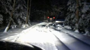 SsangYong Actyon 2.3 по лесу 1