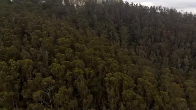 ZINO MINI SE SHORT FLIGHT смотреть онлайн