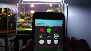 Chihiros WRGB 60 TEST