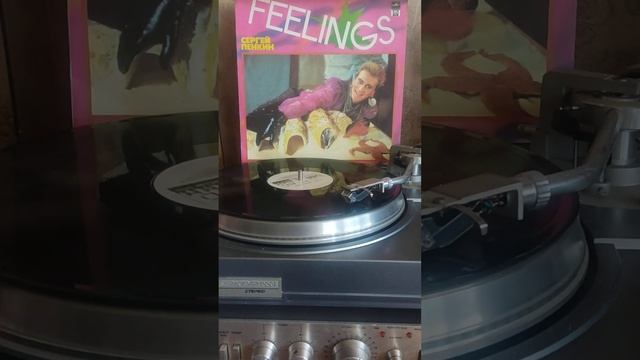 #винил #DMM #Сергей Пенкин #птицы летят на юг 1992г. смотреть онлайн