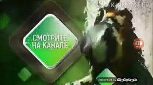 Заставки Зоо ТВ 2018-н.в