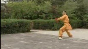 Шаолинь Танланцюань Ланьменьцян (копье богомола) (8).flv