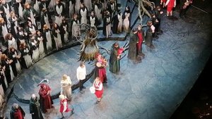 VID_20250304_201137_842 цветы Лоэнгрин