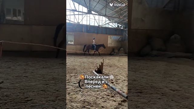 🏇 ВЕРХОВАЯ ЕЗДА🏇УРОКИ🏇 ПРАВИЛА🏇С ЧЕГО НАЧАТЬ🏇🤔? #horse #horselover #верховаяезда #спорт #лошади