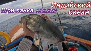 Рыбалка в открытом Индийском океане. Шри-ланка. 1.03.2025 г.