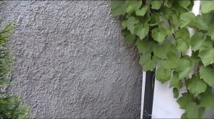 Обработка виноградника от болезней, 1 июня, 2023 года!