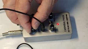 Синтезатор  - дроун Cannibal Pride