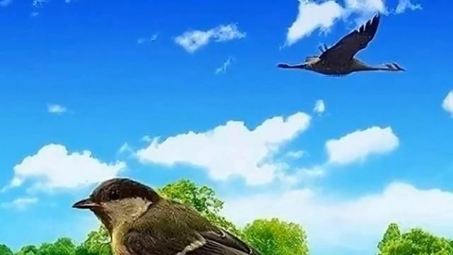 "Новая страница"- поёт Татьяна Моисеенкова.  Слова и музыка - Мила Руденская
