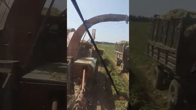 Каиырбек херсонец смотреть онлайн