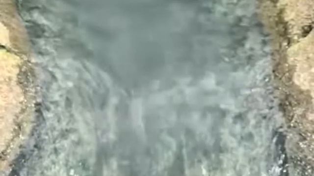 SÉRIE SABERES E CIÊNCIAS: Saneamento e pobreza