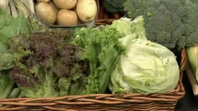 Tips for harvesting your vegetables смотреть онлайн