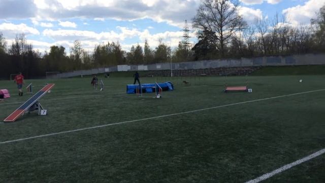 Бруклин Тверь отборочные 13 14 05 4 смотреть онлайн