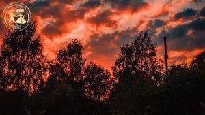 Саламу Абубакаров Мел Йог1у Буьйса кхоьлина йог1у