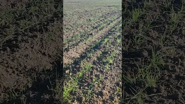 30 декабря 2022 г. смотреть онлайн