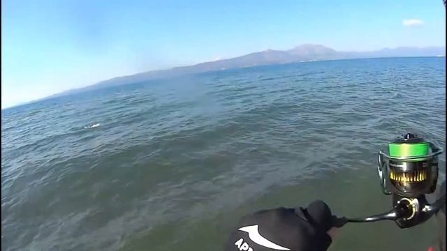 Spinning for sea bass with soft bait