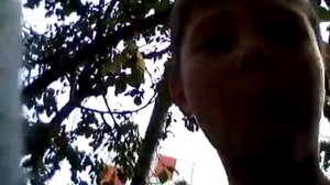 Упал с дерева