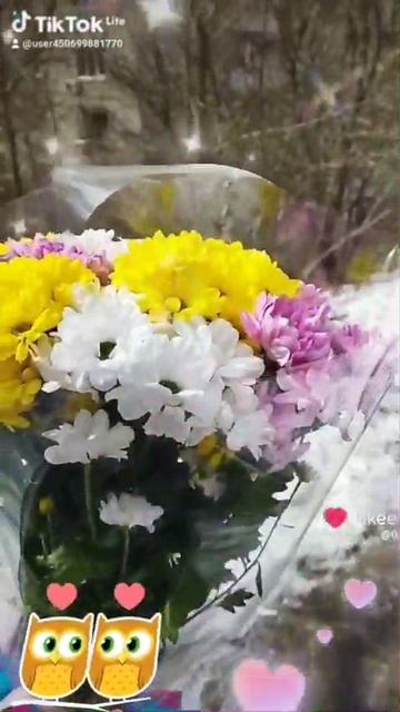 С праздником, 8 Марта! #8марта #праздник  #женскийдень
