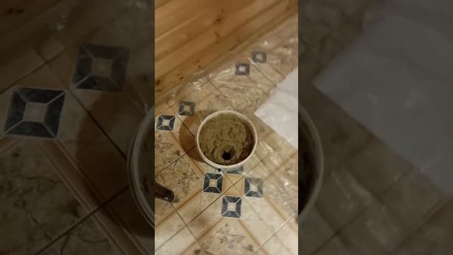 минералы для голубей смотреть онлайн