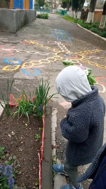 сирень ❤#like #дети #love #природа #shorts #status смотреть онлайн