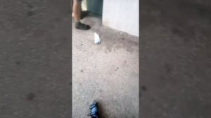 Скинули телефон explay с 10 этажа