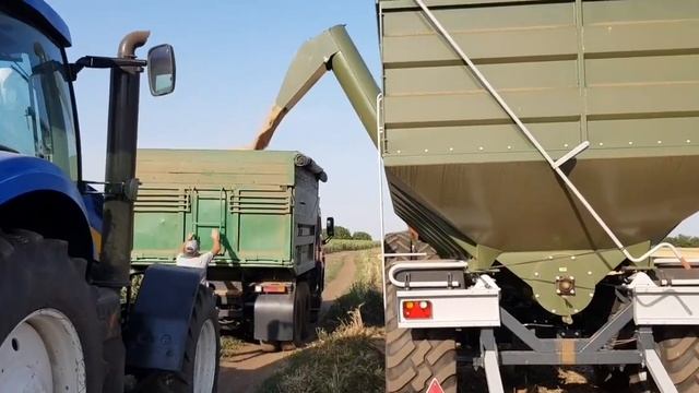 Выращивание пшеницы. No-till 27.06.2019. Один день из трудовых будней смотреть онлайн