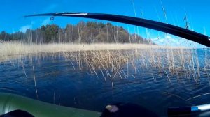 Весенний нерест . Ловля плотвы на поплавочную удочку. Чудское озеро. Рыбалка Online