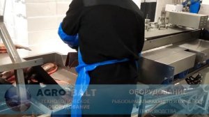 АгроБалт Проект Линия по переработке форели