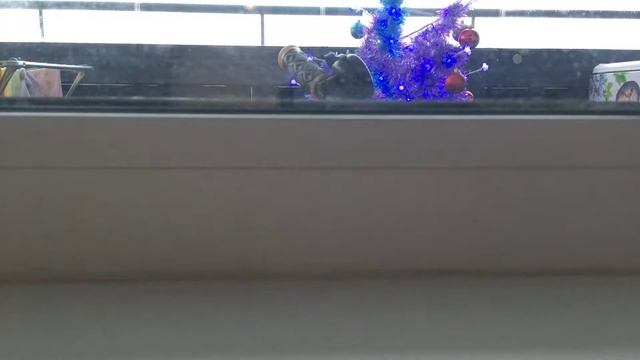 Мои новогодним подарки и холодильник смотреть онлайн