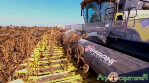 Жатка Zaffrani 14 сентября 2019 Авангард