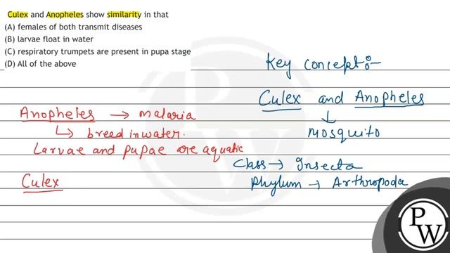 Culex and Anopheles show similarity in that
(A) females of both transmit diseases
(B) larvae flo... смотреть онлайн