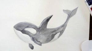 Как нарисовать касатку карандашом и акварелью начинающим | Рисунок поэтапно и легко для детей