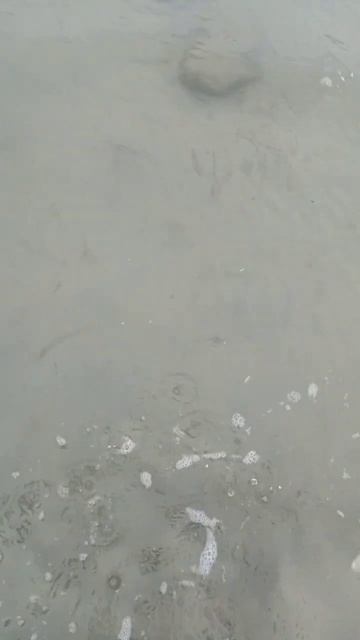 Am gasit un crab mare in apa смотреть онлайн