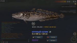 Fisher Online река Пра сом на лягушку