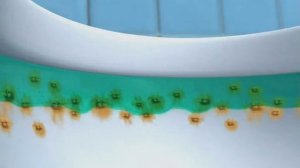 Toilet Duck Commercial 2006