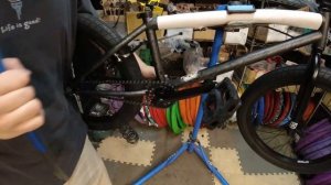 2022 Kink Curb 20" BMX Unboxing @ Harvester Bikes