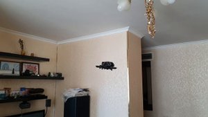 20250223_161050.mp4