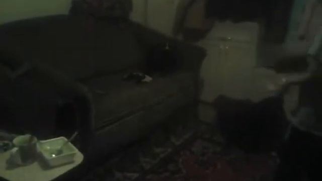 Дима выучил магию Он мастер !!!!!!!!!!!!!!!!! смотреть онлайн