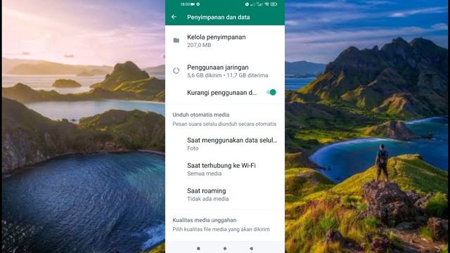 cara mengatasi media poto dan video whatsapp yang tidak tersimpan otomatis ke galeri ponsel смотреть онлайн
