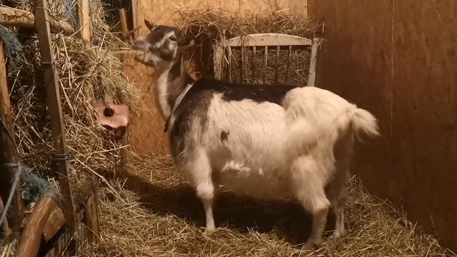 Приятные мелочи смотреть онлайн