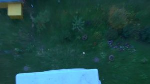 Полёт арбуза с 17го этажа