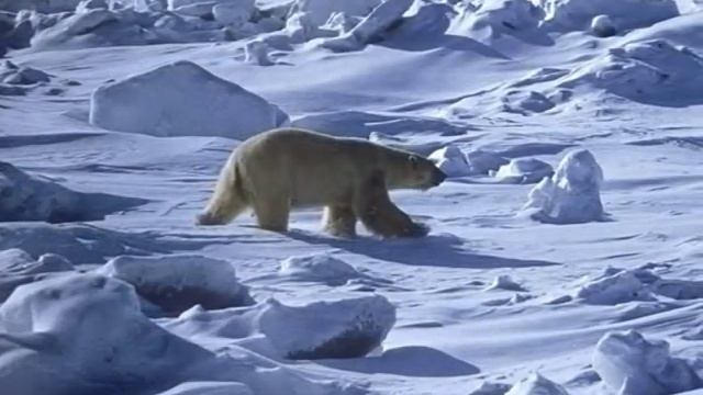 Против ветра m смотреть онлайн