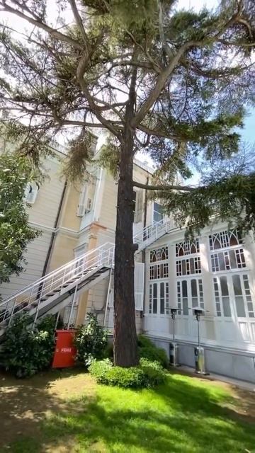 День рождения в Стамбуле на вилле #организациясвадеб#деньрождения#стамбул2024#турцияквартиры#düğün