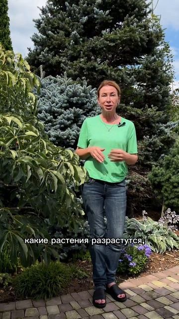 Как создать красивую композицию из растений? сад малоуходныйсад всевсад марияниконова садовод