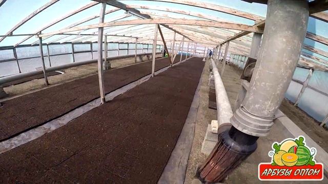 Первые всходы в кассетах 29 04 20015 смотреть онлайн