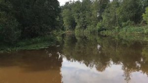 Река Китенйоки. Карелия