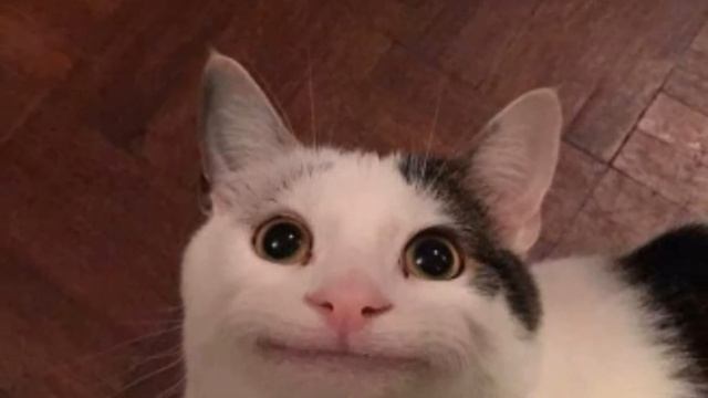 Добро пожаловать на Мемный Повар смотреть онлайн