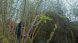 БУХНУВШИЕ ПАРНИ БЛЮЮТ В КОЛОДЕЦ