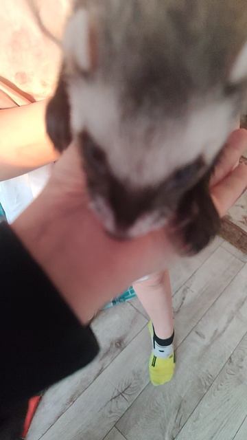 харëк смотреть онлайн